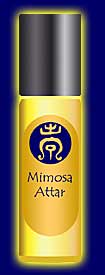 Mimosa Sensual Attar - Natural Perfume - Alcohol free perfume from Sapphire Natural Beauty